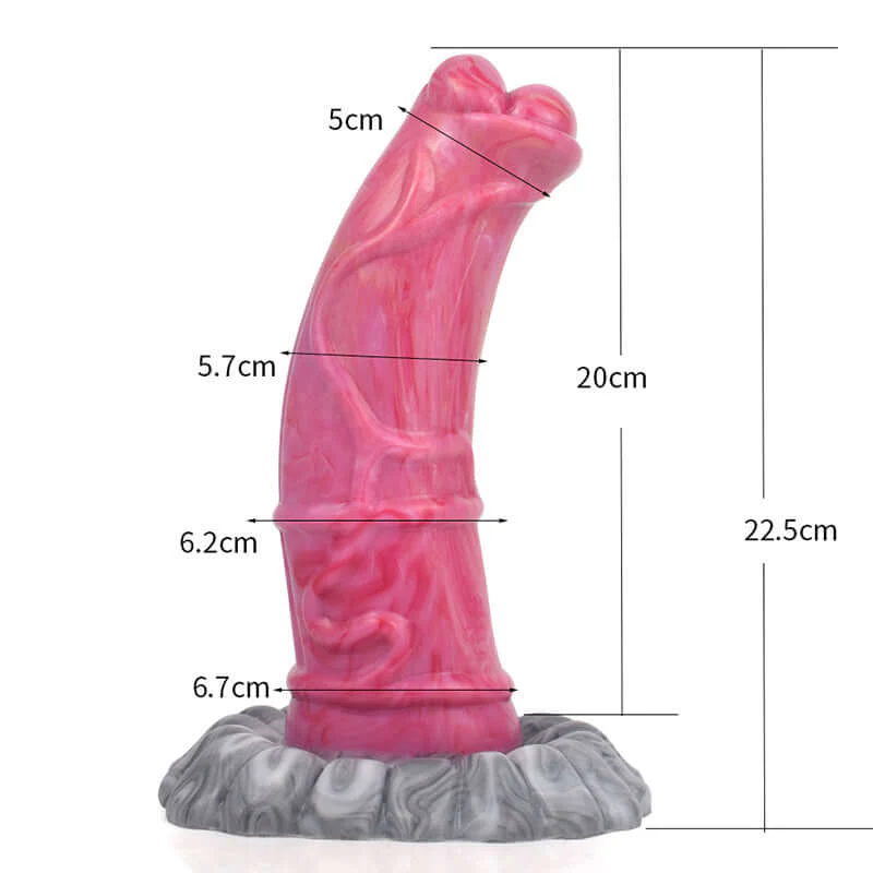 Paso Fino - Image 3